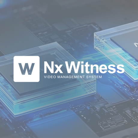 NX Witness