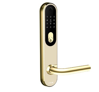 Zafe T-Lock OVAL, messing