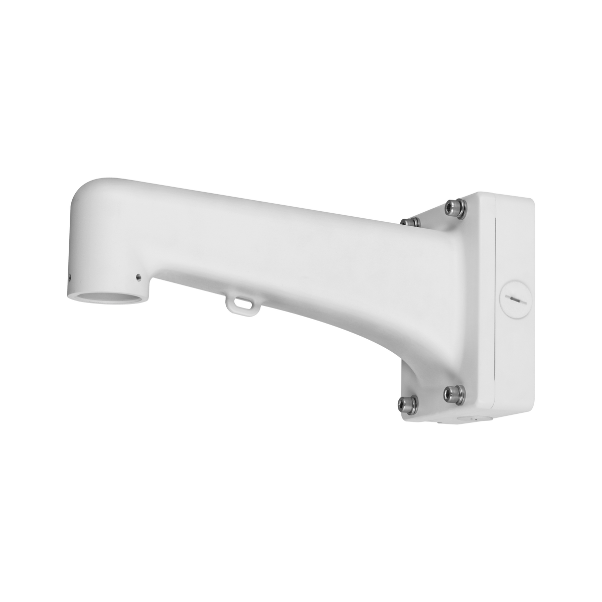 Dahua PFB310W