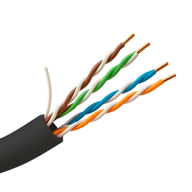 Safire UTP-kabel Cat5E 100m, udendørs, Sort